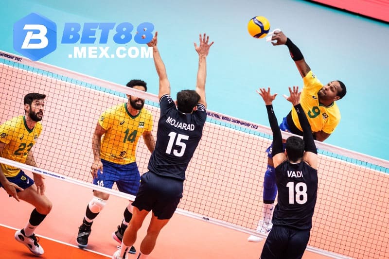 Cá cược bóng chuyền là gì?