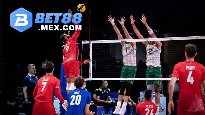 Một số loại cược bóng chuyền tại Bet88