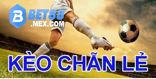 Kèo Chẵn Lẻ: Tìm Hiểu Chi Tiết và Cách Thức Chơi Tại Bet88 4 Kèo chẵn lẻ trong Esport
