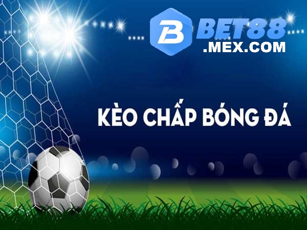 Kèo Chấp 1/4 Là Gì? Hướng Dẫn Cách Chơi Kèo Chấp 1/4 Tại Bet88 5 Bình tĩnh trong mọi tình huống