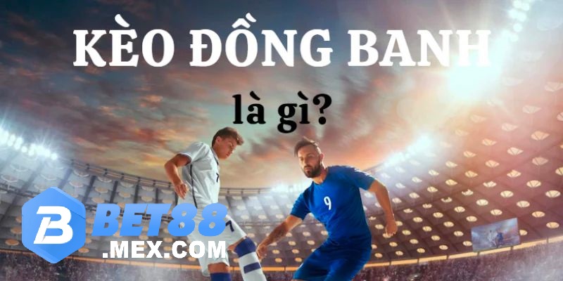 Tổng quan về thể loại kèo đồng banh