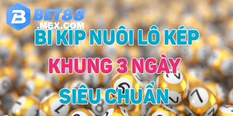 Các loại lô kép phổ biến được sử dụng thường xuyên hiện nay