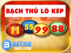 Soi lô cầu kép là gì? Các loại soi lô cầu kép phổ biến